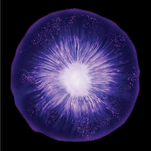 MELA B3 Serum article