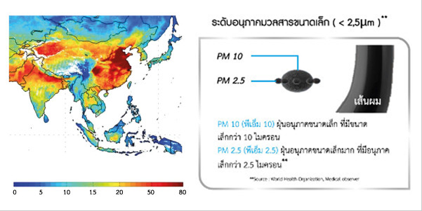 มลภาวะในอากาศ ภัยเงียบที่ทุกคนต้องระวัง