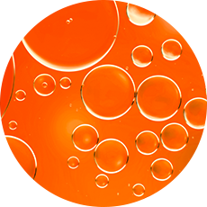 Netlock technology ingredient
