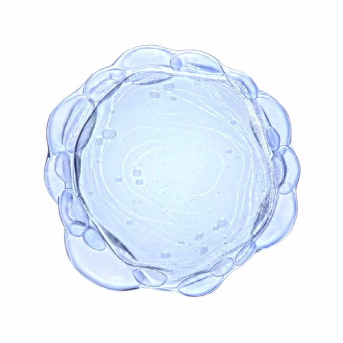niacinamide-update